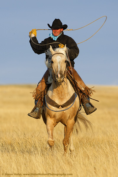 Cowboy in the Dakotas
